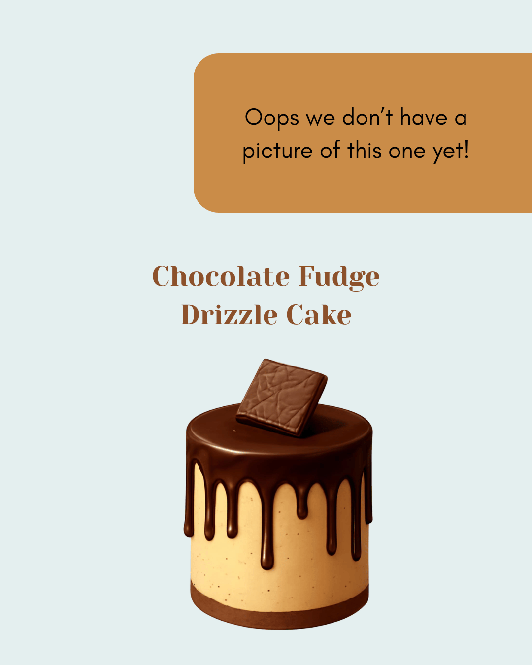 Chocolate Fudge Drizzle Cake (Linlithgow)