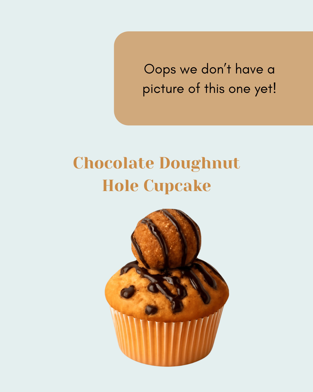 Chocolate Doughnut Hole Cupcake (Linlithgow)