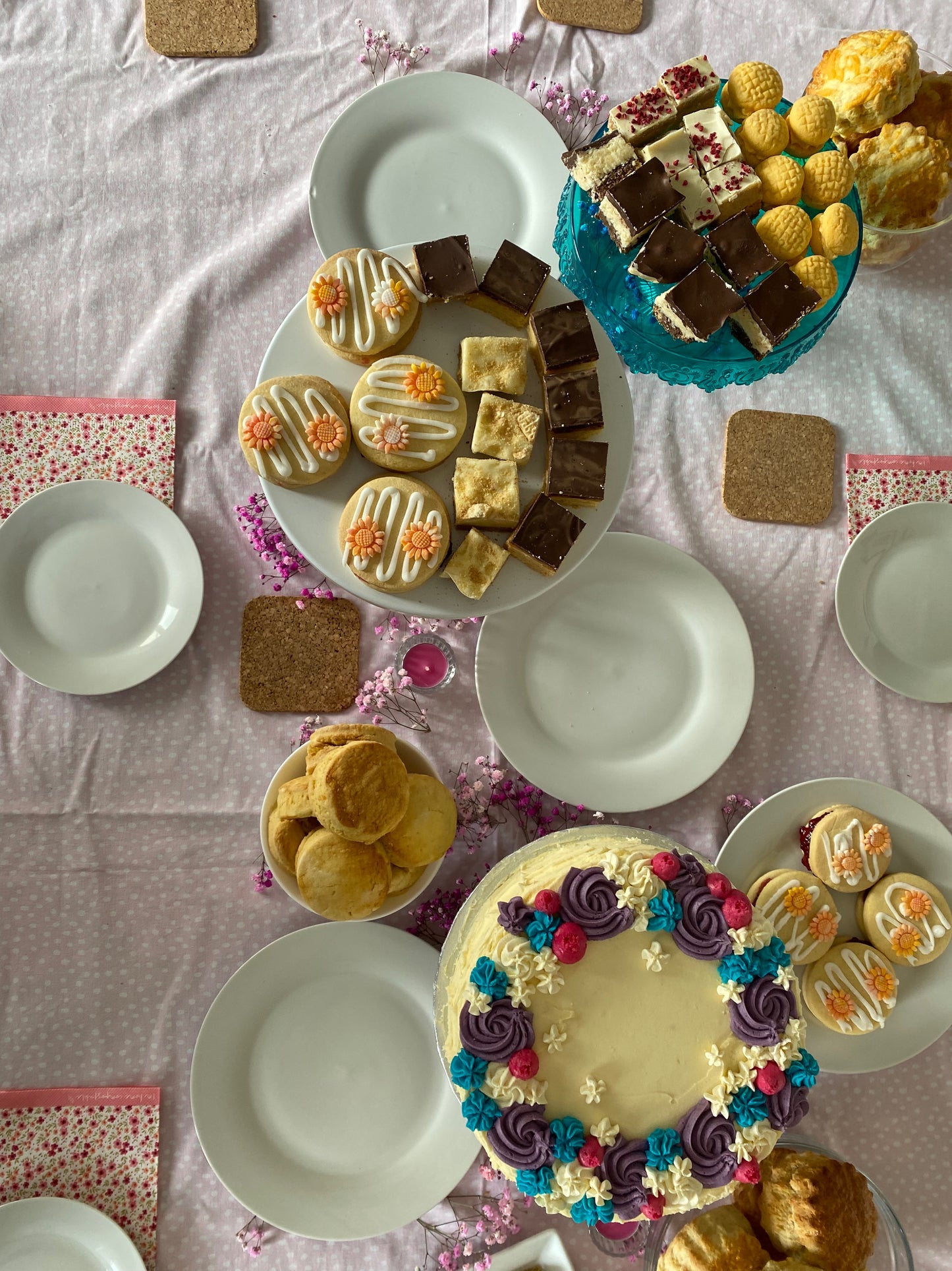 Cake Picnic