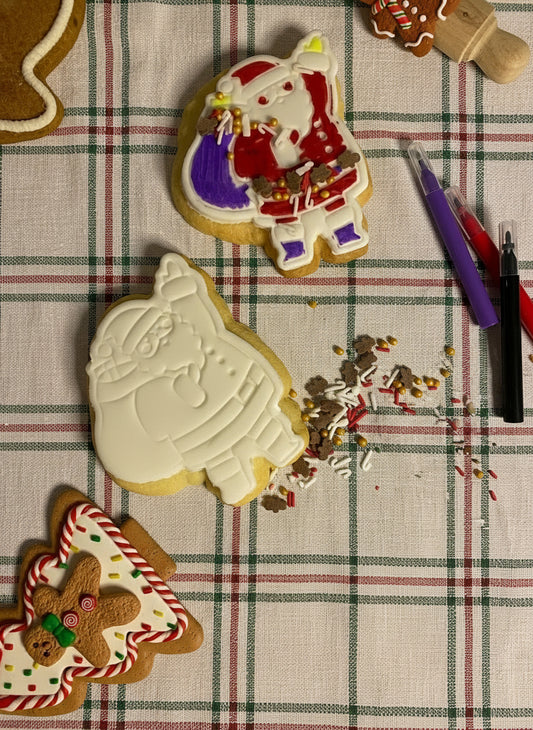 Colour Your Own Santa Cookie Kit